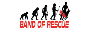 bandofrescue logo